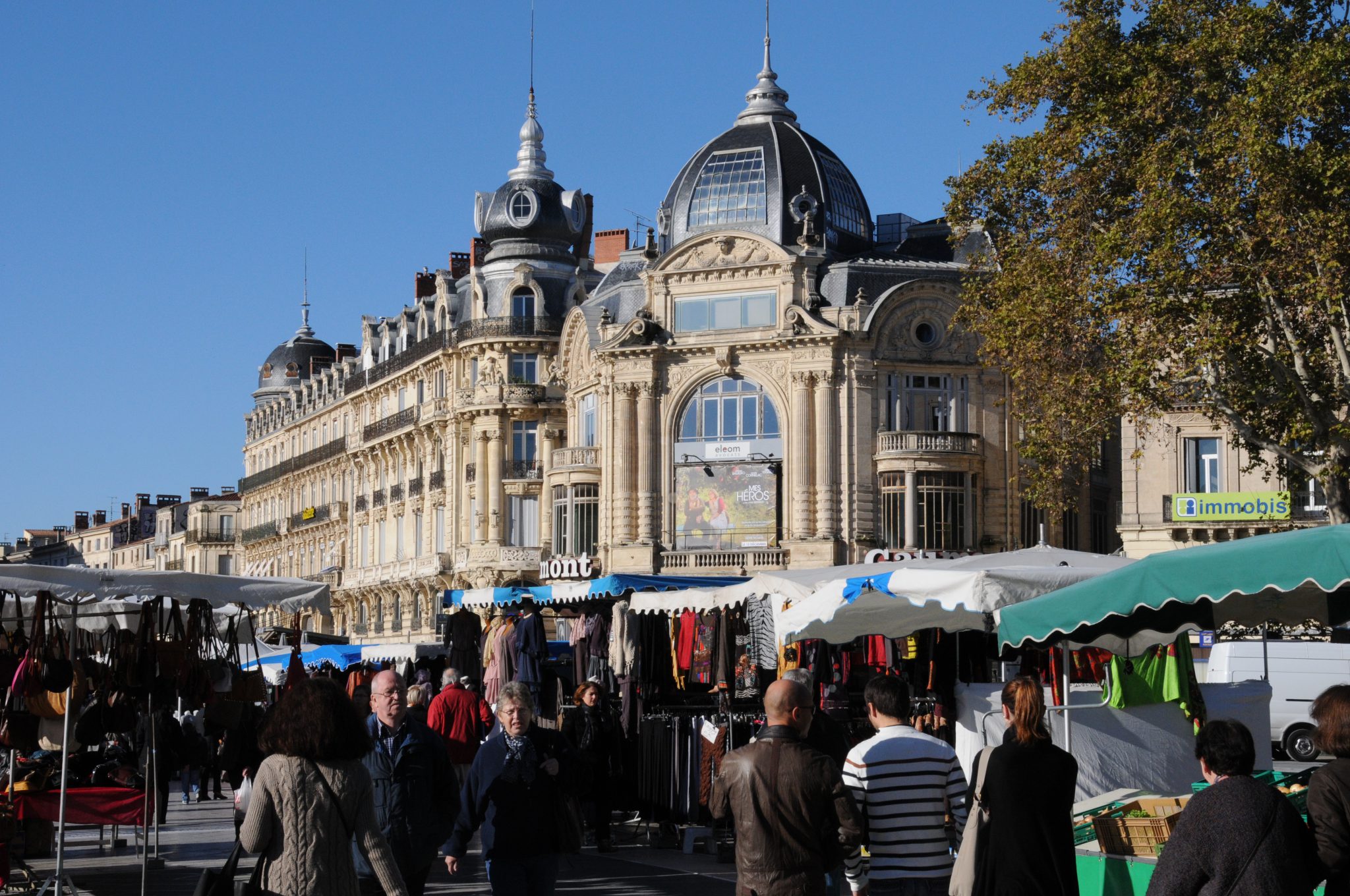 Südfrankreich erleben