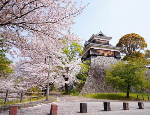 Teilnehmende gesucht für Jugendbegegnung Kumamoto/Japan