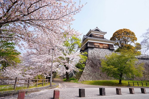 Konnichiwa Kumamoto - Kimono Workshop mit Billy