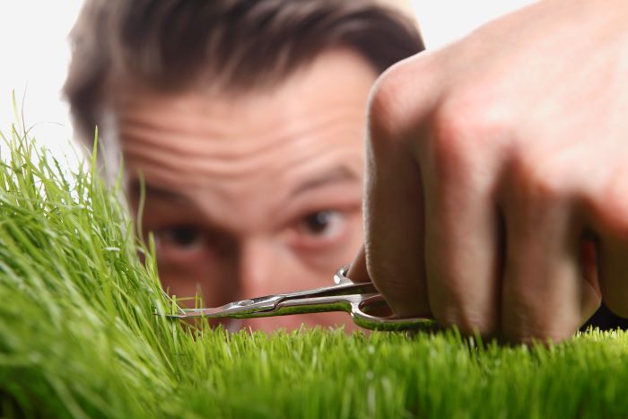 Mann schneidet Gras mit Nagelschere