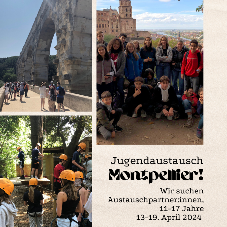 Collage mit Bildern des Jugendaustausch mit Montpellier